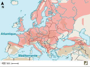 Aire de répartition du Pipit des arbres (Anthus trivialis)