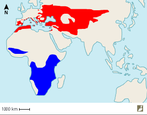 Aire de répartition du Rollier d'Europe (Coracias garrulus)